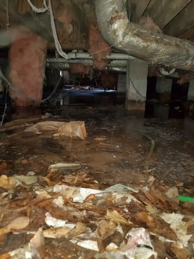 Crawl space flood assessment for Leak Detection & Repair in Belton
